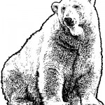 Are Polar Bears Dangerous?