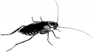 Using smartphones for pest control image