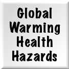Global Warming Negative Health Effects