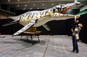 Liopleurodon