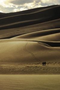 Survival desert scene image